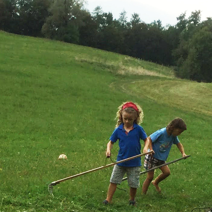 LA FALCE DA FIENO E ORTI BIOLOGICI&nbsp;MONTANI