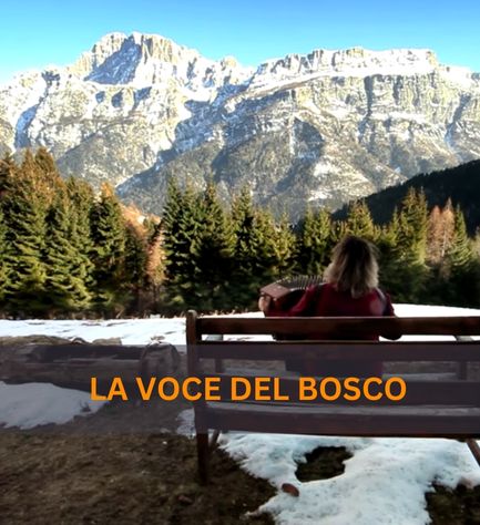 DOCUMENTRIO DI FRANCESCA GALLO E DIMITRI&nbsp;FELTRIN