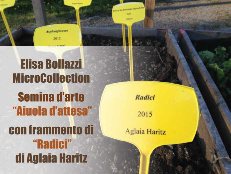 This image has an empty alt attribute; its file name is bollazzo-microcollection.jpg