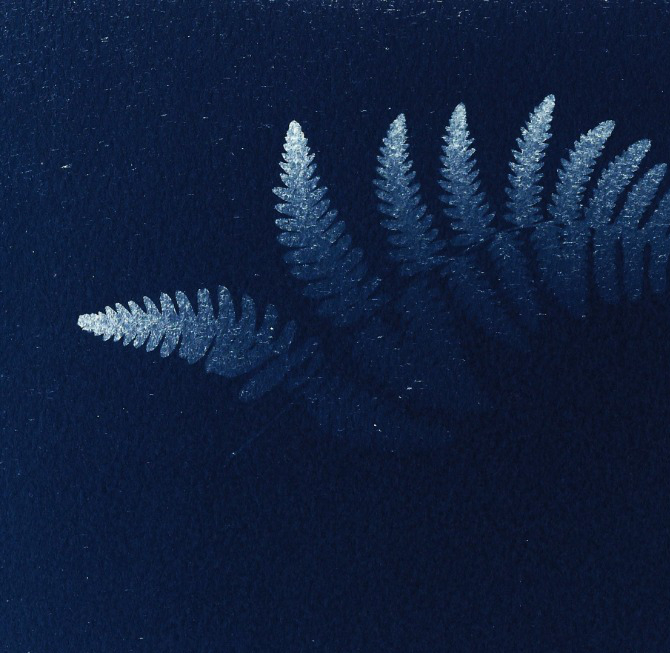 WORKSHOP DI CIANOTIPIA ‘STAMPARE CON IL&nbsp;SOLE’