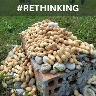 RESIDENZA ARTISTICA con Denise Parizek,  Elisa Bollazzi, Cristina Calderoni, Chiara Campanile, Paula&nbsp;Flores…