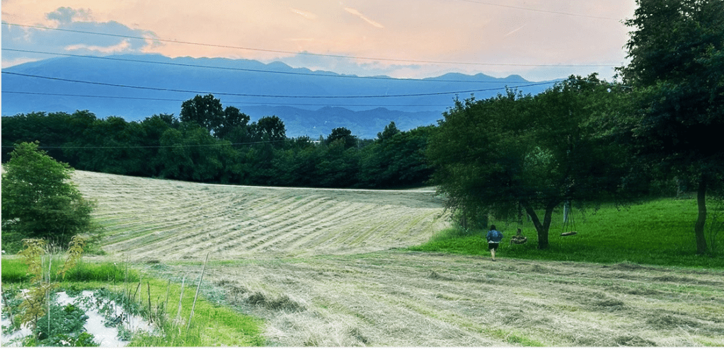 INAUGURAZIONE DEL ‘GIARDINO DELLA PACE / POSSIBILITY&nbsp;FIELD’