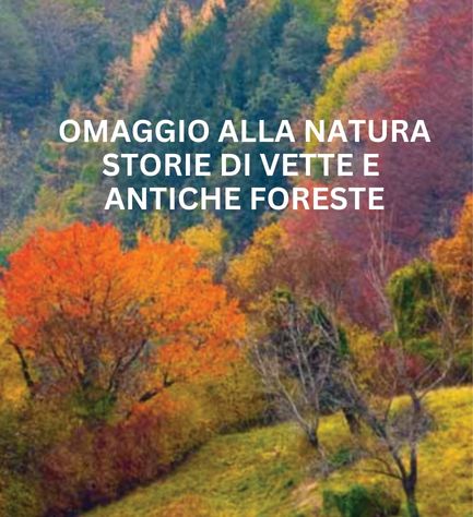 ESPERIENZA CONNETTIVA IN NATURA E GLI SCRITTI DI TOIO DE&nbsp;SAVORGNANI