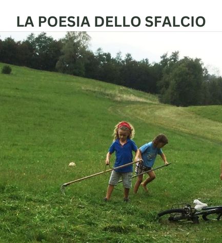 WORKSHOP SULL’USO DELLA FALCE DA FIENO E VISITA A ORTI BIOLOGICI MONTANI