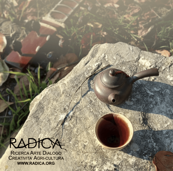 [CHA DAO E SITAR] cerimonia del tè, allenamento all’ascolto